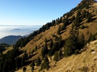 20151101 160325  Reference photos for winter ski lines