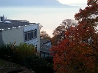 20151105 170734  Foliage at the top of le Sentier du Télégraphe