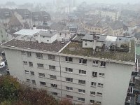 20151121 140157  snow in the vineyard