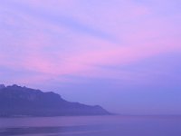 DSCN5253  Lavender sky