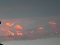 DSCN5256  Stray cumulus