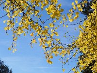 DSCN5048  Mountains across the lake