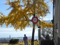 DSCN5049  Christine and traffic sign