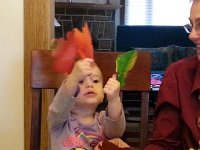 20151124 153507  Wave them around