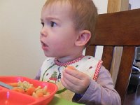 DSCN5291  questions arise