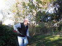 DSCN5343  for raking and trimming