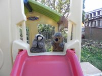 DSCN5391  starring furry woodland creatures!