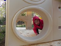 DSCN5417  Peek-a-boo