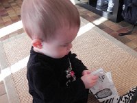 DSCN5425  Now let&#39;s shred the instructions for Grandpa&#39;s altimeter