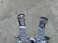 DSCN5427  We liked the strips and spots