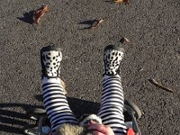 DSCN5431  The sun comes out