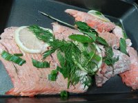 DSCN5439  Sockeye salmon left over from the dinner with Tag and Suzy