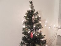 DSCN5445  Christmas came early