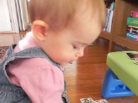 DSCN5484  for further analysis