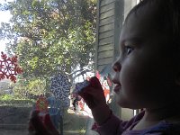 DSCN5509  They take a lot of concentration!