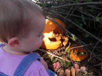 DSCN5515  And why not check out the kitty pumpkin, now in the organic pile at the curb?