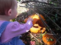 DSCN5516  Must touch