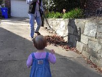 DSCN5518  who is still amassing the leaves