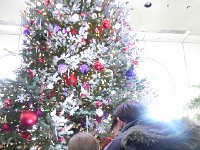 DSCN5592  A beautiful Christmas tree