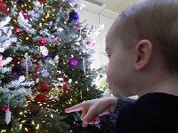 DSCN5596  A toy train circles the tree