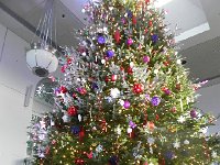 DSCN5601  all made from plant materials