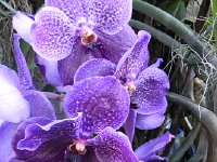 DSCN5622  I thought that I had strayed into Ikea!