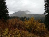 20150916 094748  A rainy cold day