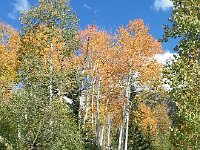 20150916 150602  The afternoon is clears up