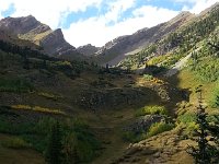 20150916 165526  Vegetation structure