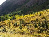 20150916 170910  and colors