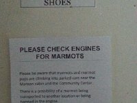 20150916 175605  No, really! Check for marmots!