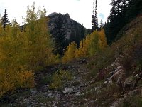 20150917 080338  Aspens