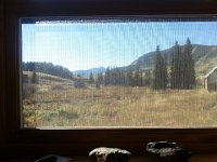 20150920 091159  What I have spent a lot of time looking at