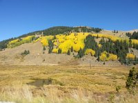 20150920 151421  Aspens on the road to Leadville