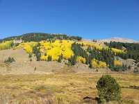20150920 151424  Aspens