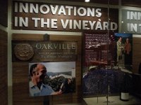 20150922 143110  and these vineyards