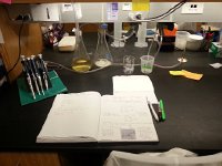 20150922 162637  Vivi&#39; lab bench