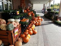 20150925 150637  Pumpkins galore
