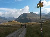 20150910 095939  Choices to make