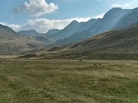 20150910 100002 Richtone(HDR)  complete with cowz