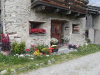 DSCN4940  And the flowers