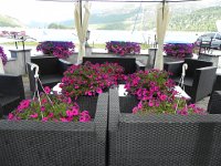 DSCN4945  Nice flowers...