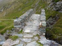 IMG 0282  Plan A: Christine and Sharon continue over the pass while Plan B&#39;ers climb toward the peak and a different pass