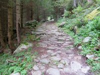 IMG 0293  very nice stone path!