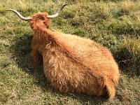 IMG 1129  What a wonderful shape