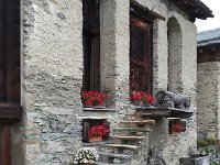 IMG 1838Leo  Look at the stairs!