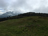 IMG 1842Leo  Storm to the right;escape to the left