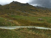 IMG 1843Leo  The road is actually straight...