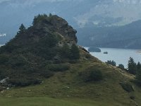 IMG 1845Leo  Mowed fields