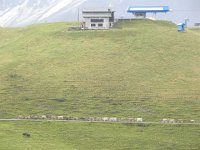 DSCN4656  La Poya Grisonne